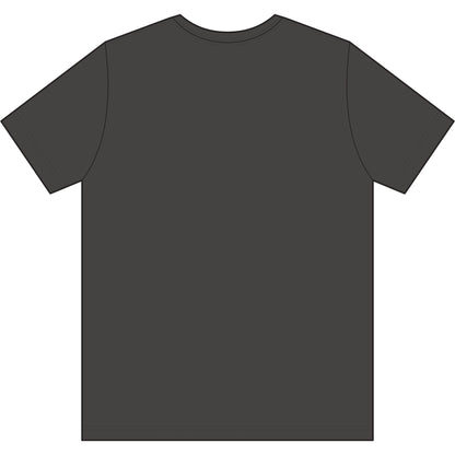 Unisex Tri-Blend Tee - Gray
